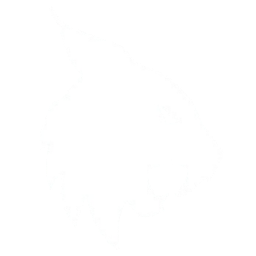 Lince